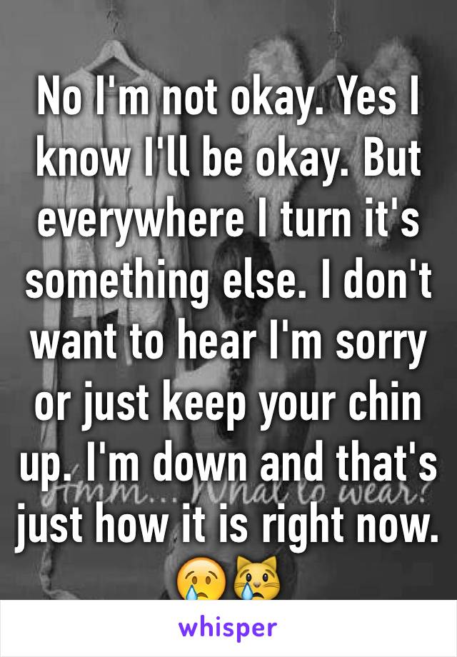 No I'm not okay. Yes I know I'll be okay. But everywhere I turn it's something else. I don't want to hear I'm sorry or just keep your chin up. I'm down and that's just how it is right now. 😢😿
