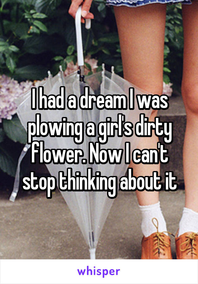 I had a dream I was plowing a girl's dirty flower. Now I can't stop thinking about it