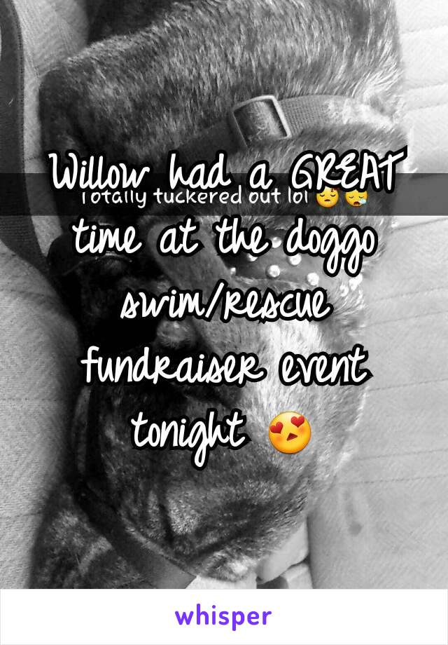 Willow had a GREAT time at the doggo swim/rescue fundraiser event tonight 😍