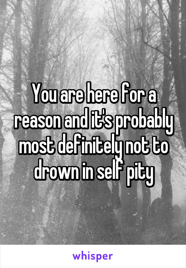 You are here for a reason and it's probably most definitely not to drown in self pity