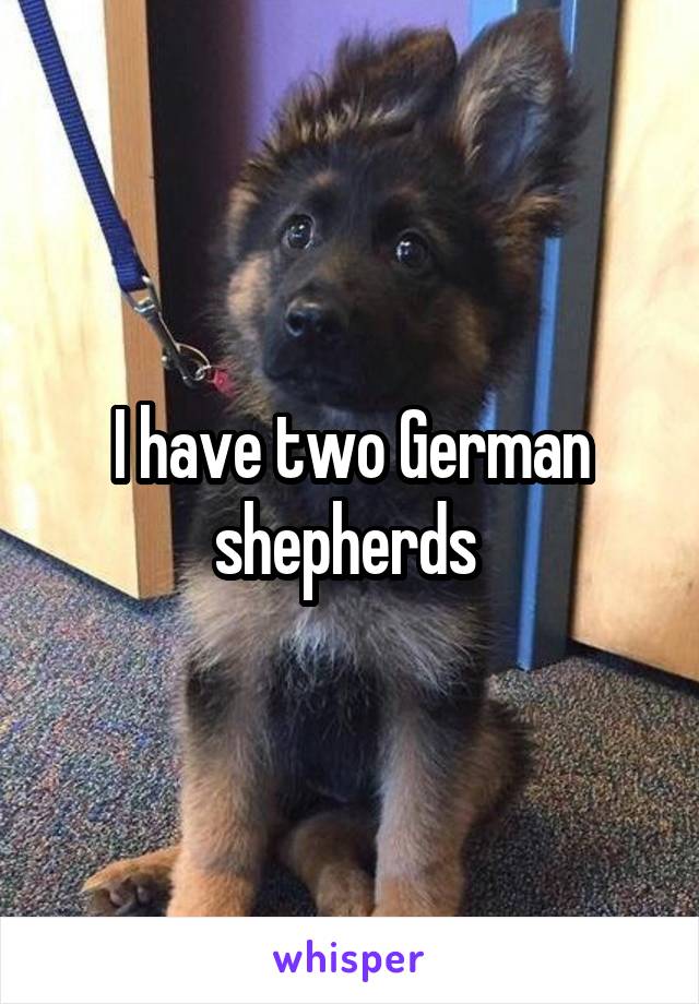 I have two German shepherds 
