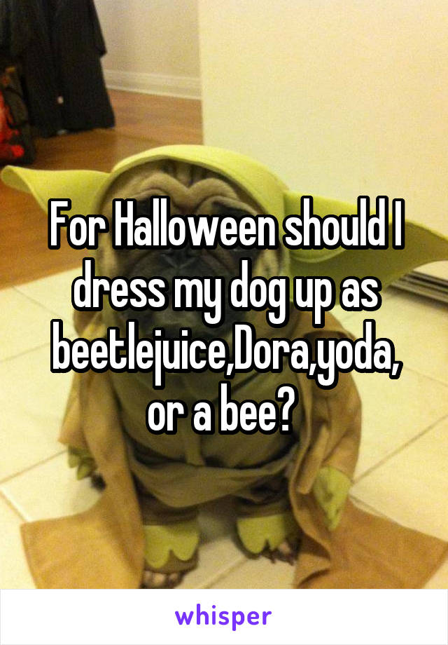 For Halloween should I dress my dog up as beetlejuice,Dora,yoda, or a bee? 