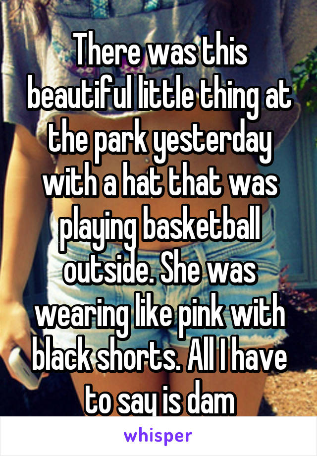 There was this beautiful little thing at the park yesterday with a hat that was playing basketball outside. She was wearing like pink with black shorts. All I have to say is dam