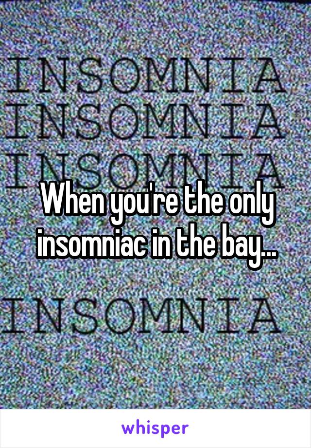 When you're the only insomniac in the bay...