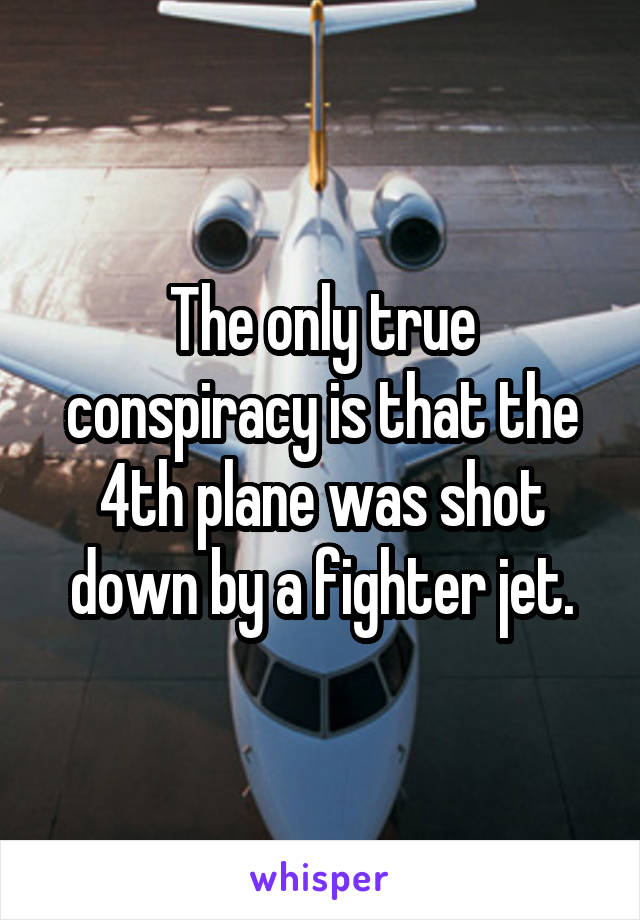 The only true conspiracy is that the 4th plane was shot down by a fighter jet.