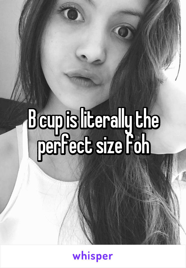 B cup is literally the perfect size foh