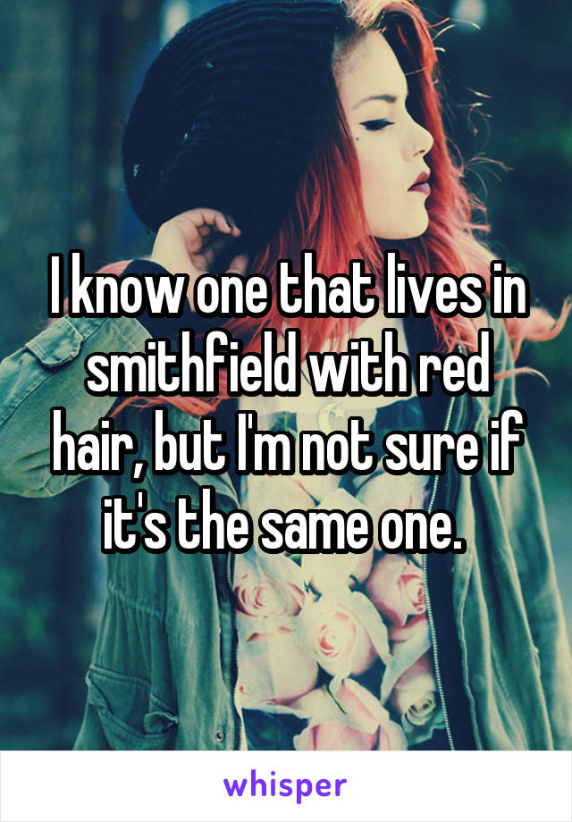 I know one that lives in smithfield with red hair, but I'm not sure if it's the same one. 