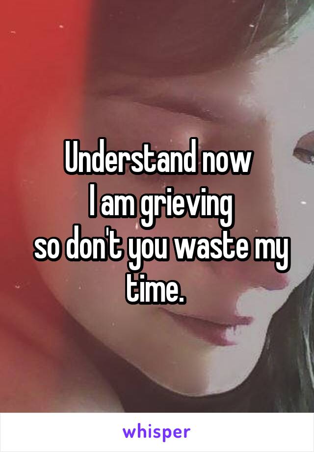 Understand now
 I am grieving
 so don't you waste my time. 