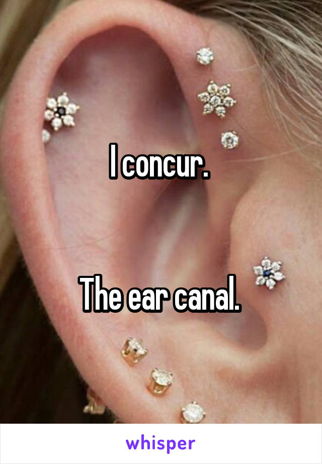 I concur. 


The ear canal. 