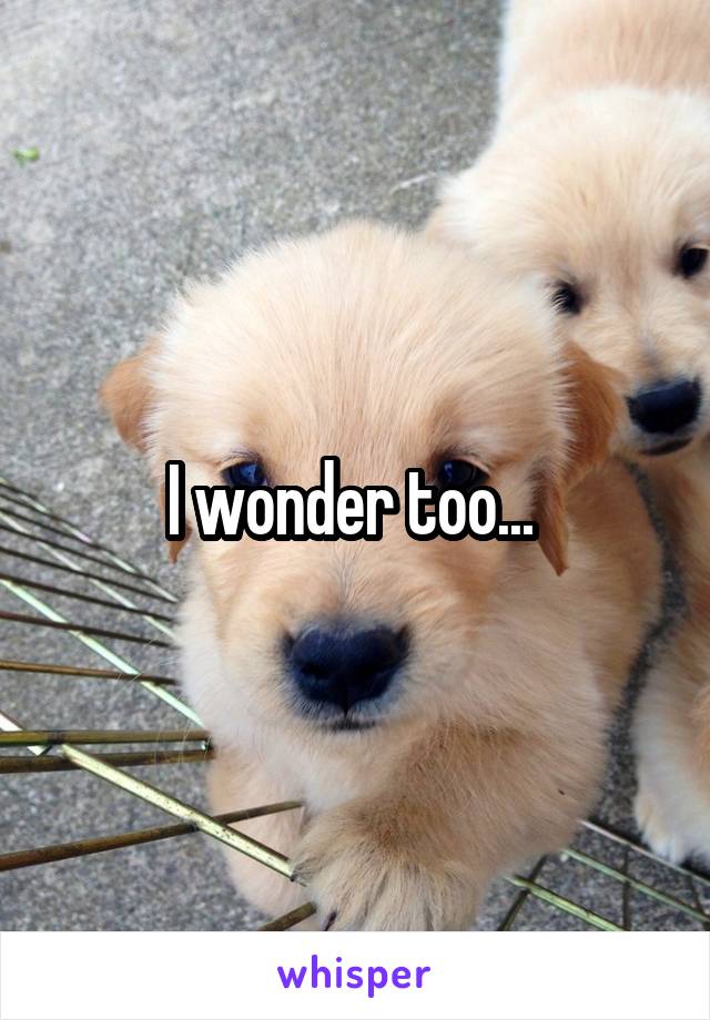 I wonder too... 