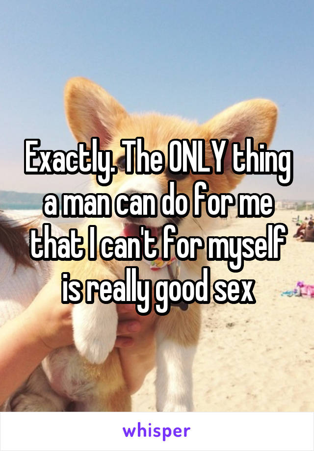 Exactly. The ONLY thing a man can do for me that I can't for myself is really good sex