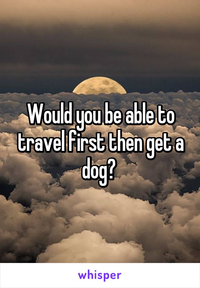 Would you be able to travel first then get a dog? 