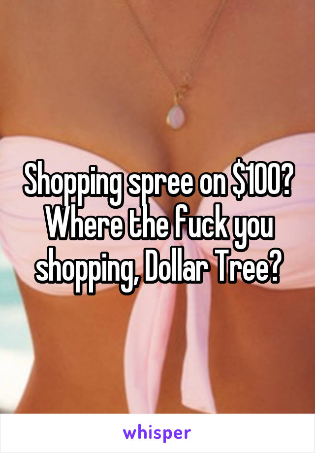 Shopping spree on $100? Where the fuck you shopping, Dollar Tree?