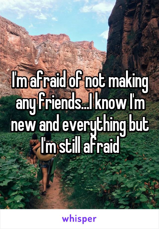 I'm afraid of not making any friends...I know I'm new and everything but I'm still afraid