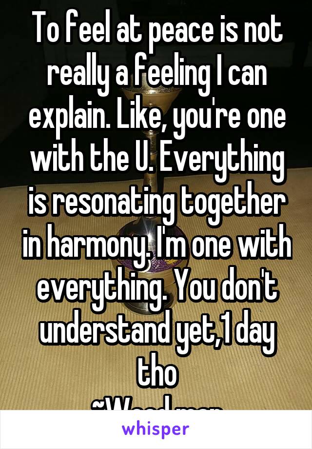 To feel at peace is not really a feeling I can explain. Like, you're one with the U. Everything is resonating together in harmony. I'm one with everything. You don't understand yet,1 day tho
~Weed man