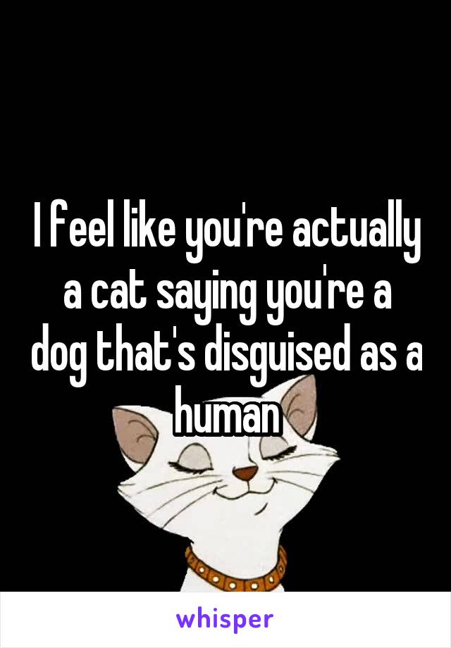 I feel like you're actually a cat saying you're a dog that's disguised as a human