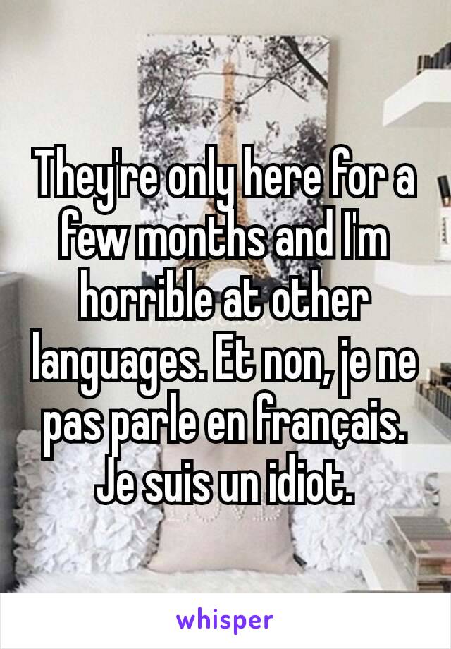 They're only here for a few months and I'm horrible at other languages. Et non, je ne pas parle en français. Je suis un idiot.