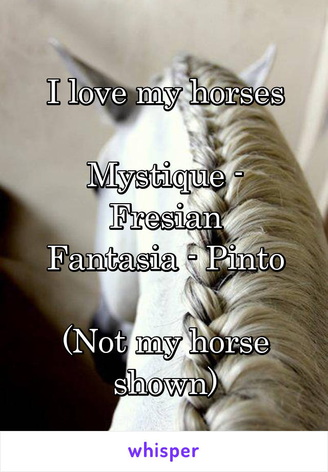 I love my horses

Mystique - Fresian
Fantasia - Pinto

(Not my horse shown)