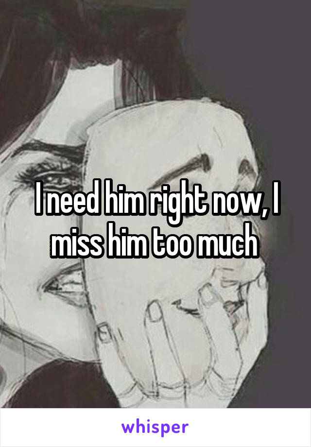 I need him right now, I miss him too much 