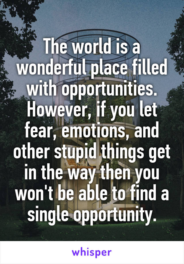 The world is a wonderful place filled with opportunities. However, if you let fear, emotions, and other stupid things get in the way then you won't be able to find a single opportunity.