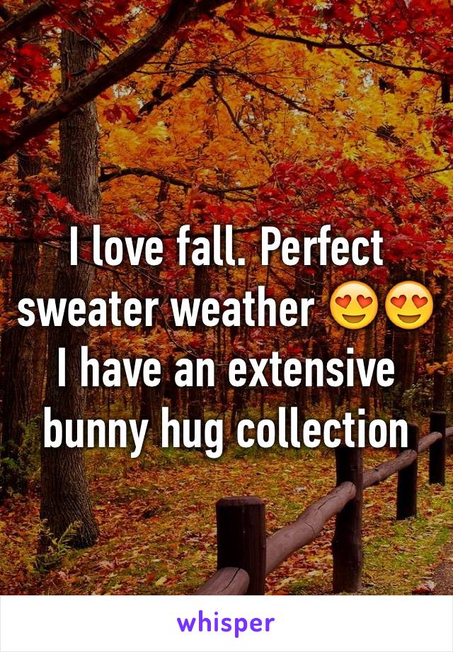 I love fall. Perfect sweater weather 😍😍 I have an extensive bunny hug collection 