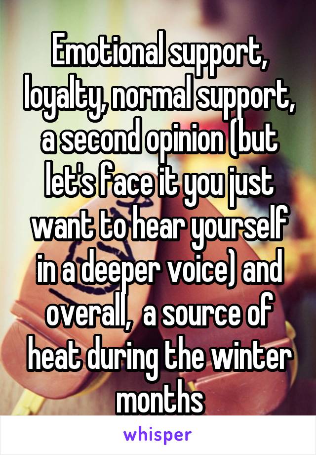 Emotional support, loyalty, normal support, a second opinion (but let's face it you just want to hear yourself in a deeper voice) and overall,  a source of heat during the winter months