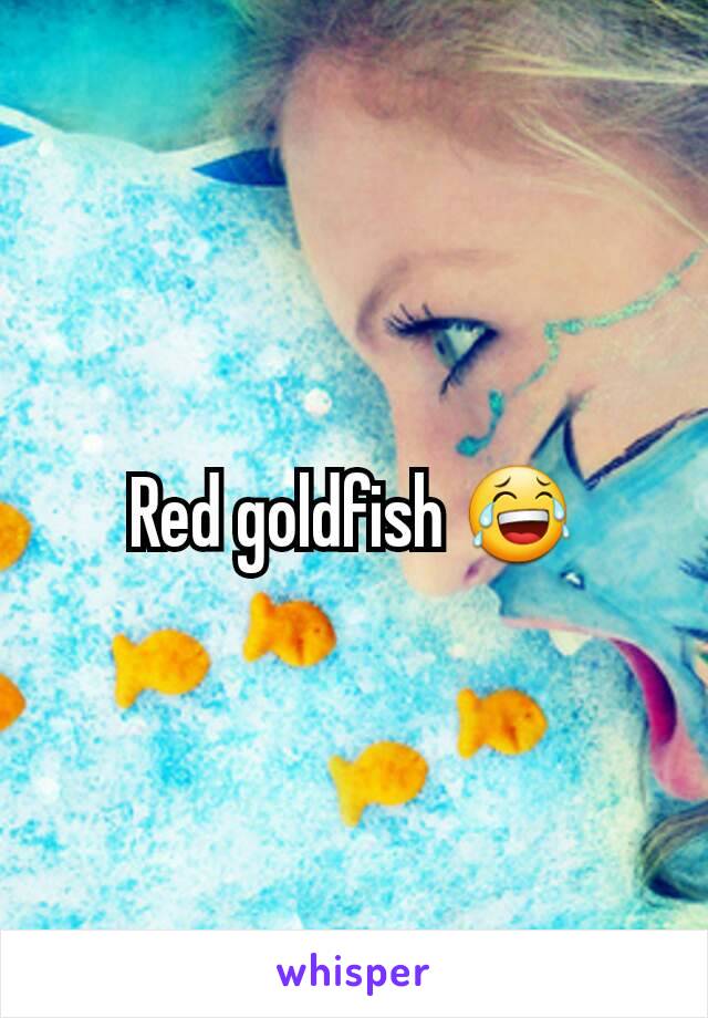 Red goldfish 😂