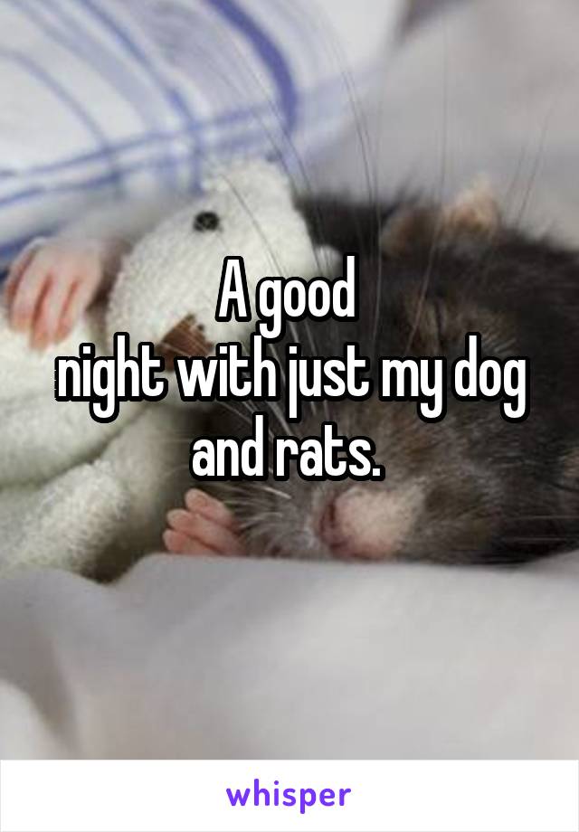 A good 
night with just my dog and rats. 
