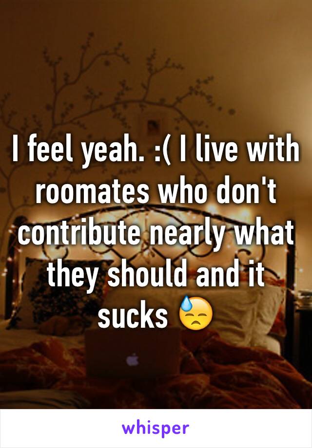 I feel yeah. :( I live with roomates who don't contribute nearly what they should and it sucks 😓