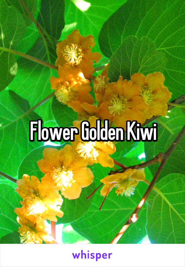 Flower Golden Kiwi