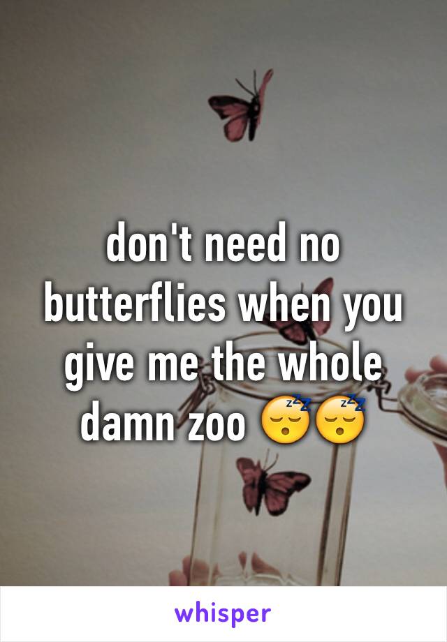 don't need no butterflies when you give me the whole damn zoo 😴😴