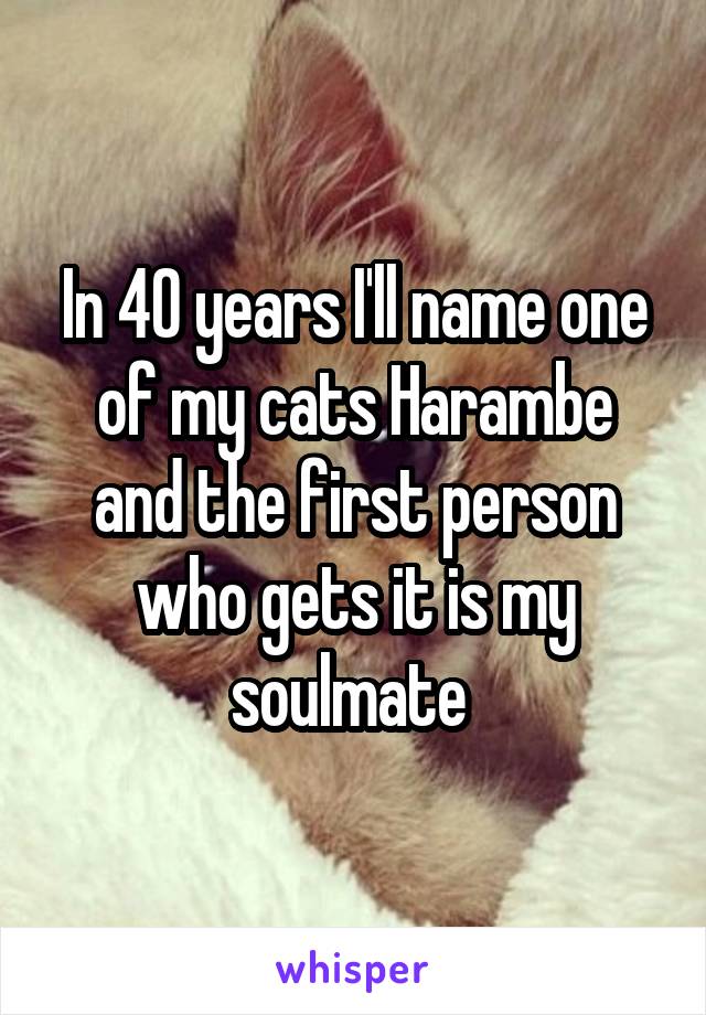 In 40 years I'll name one of my cats Harambe and the first person who gets it is my soulmate 