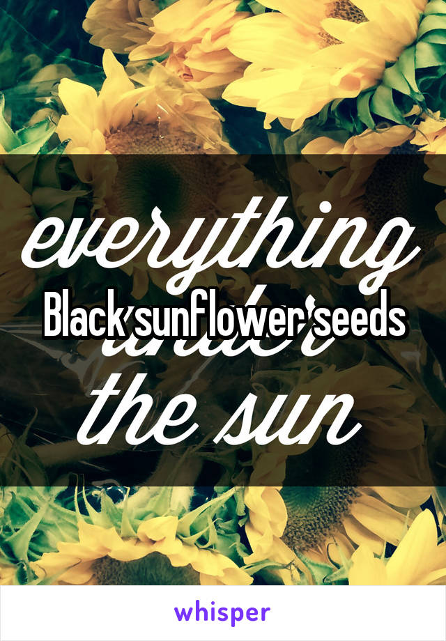 Black sunflower seeds