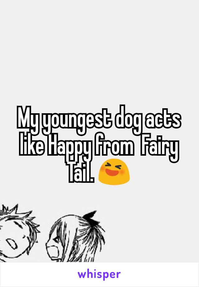 My youngest dog acts like Happy from  Fairy Tail. 😆