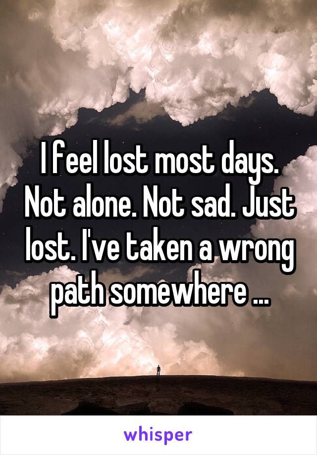 I feel lost most days. Not alone. Not sad. Just lost. I've taken a wrong path somewhere ...