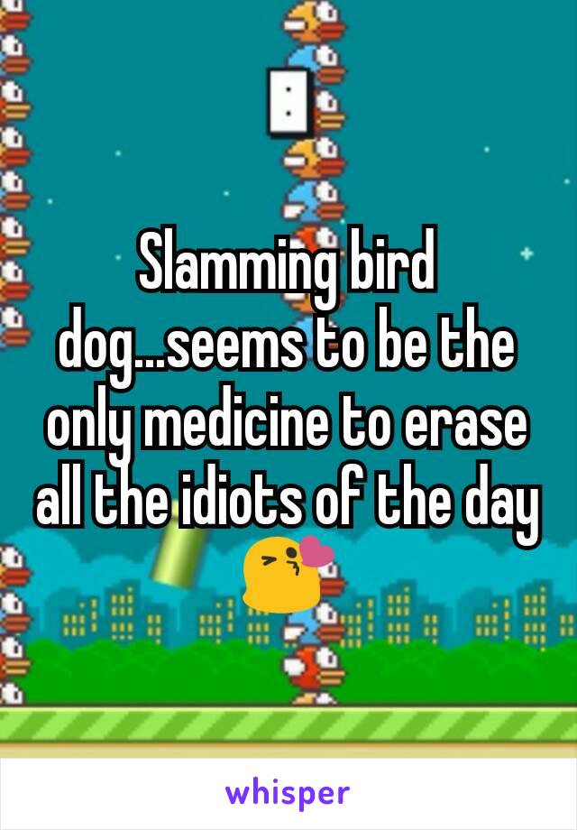 Slamming bird dog...seems to be the only medicine to erase all the idiots of the day 😘