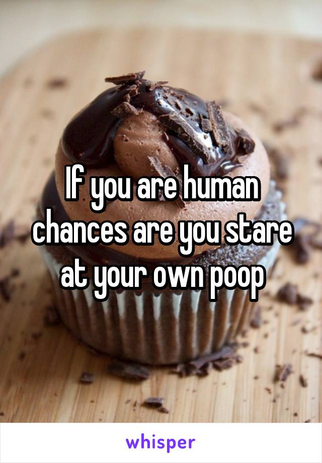 If you are human chances are you stare at your own poop