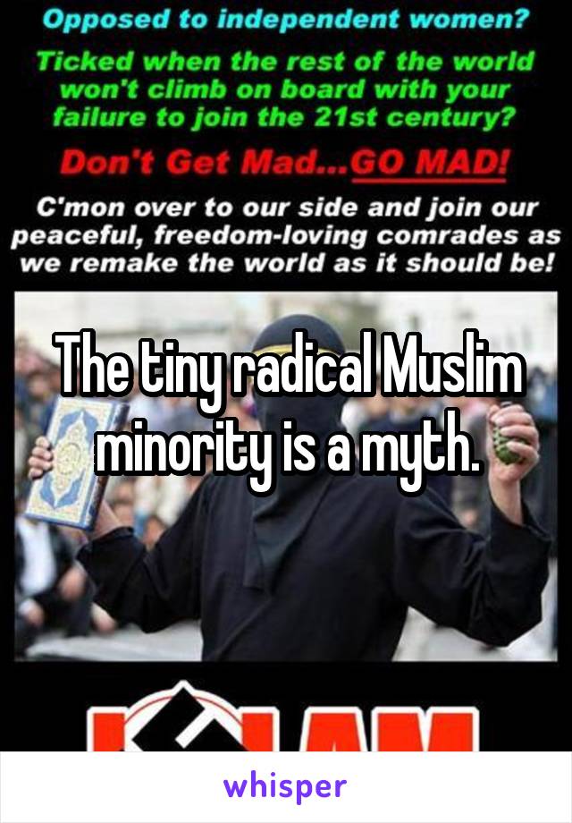 The tiny radical Muslim minority is a myth.