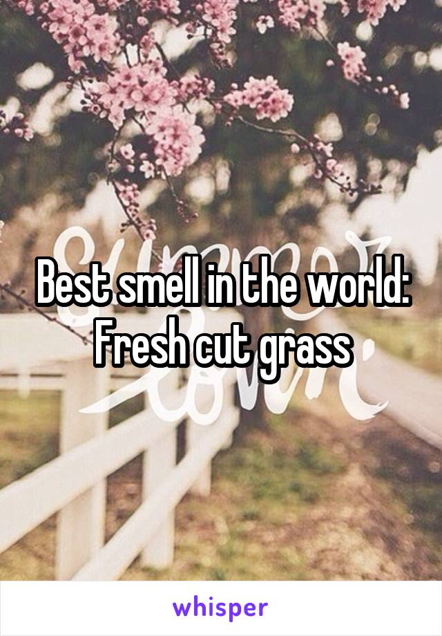 Best smell in the world: Fresh cut grass