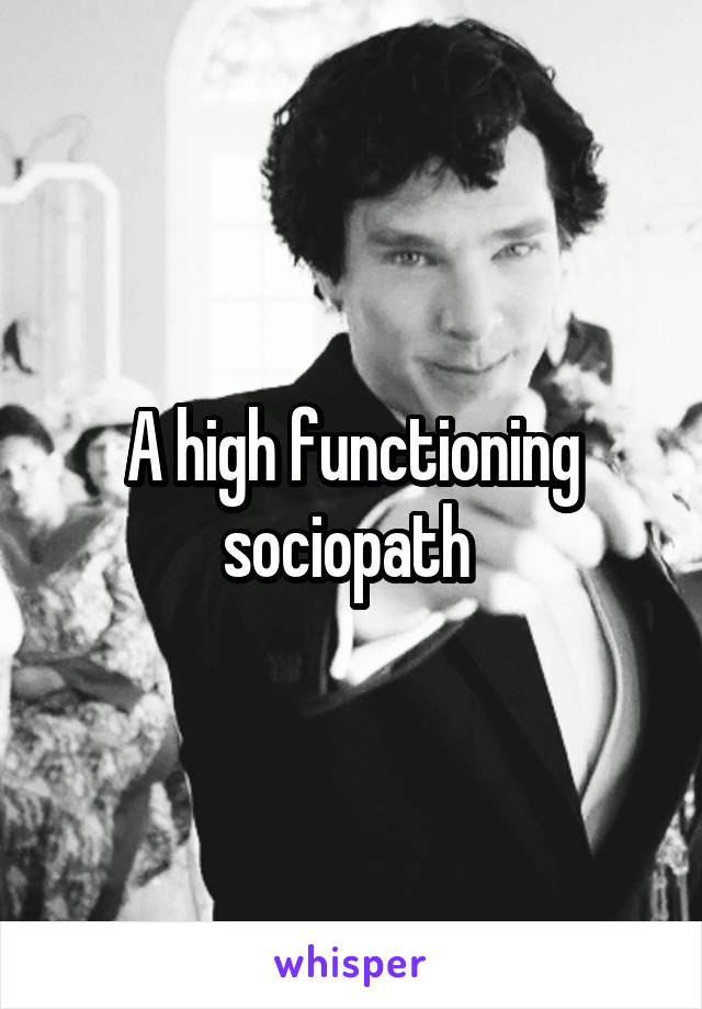 A high functioning sociopath 