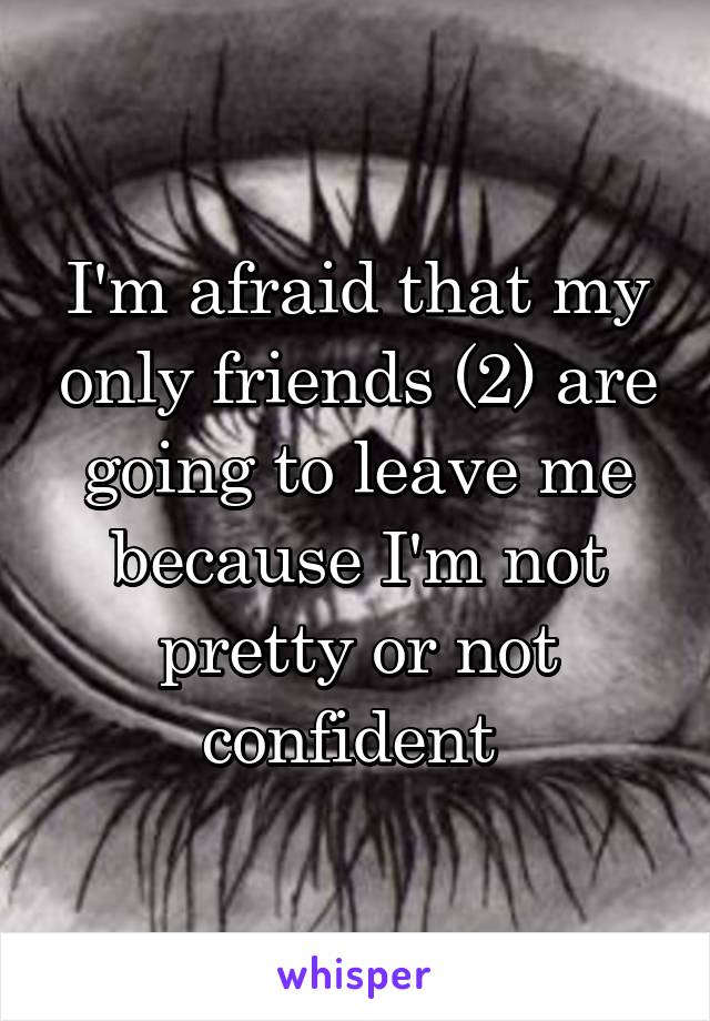 I'm afraid that my only friends (2) are going to leave me because I'm not pretty or not confident 