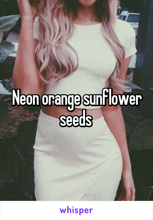 Neon orange sunflower seeds 