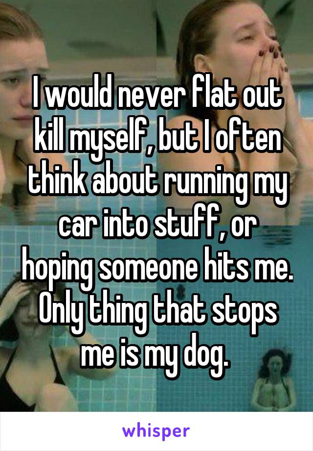 I would never flat out kill myself, but I often think about running my car into stuff, or hoping someone hits me. Only thing that stops me is my dog. 