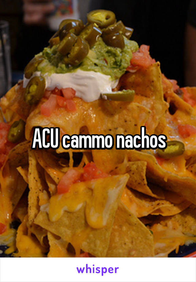 ACU cammo nachos