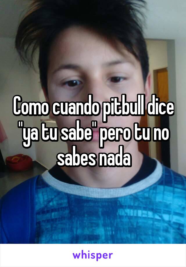 Como cuando pitbull dice "ya tu sabe" pero tu no sabes nada