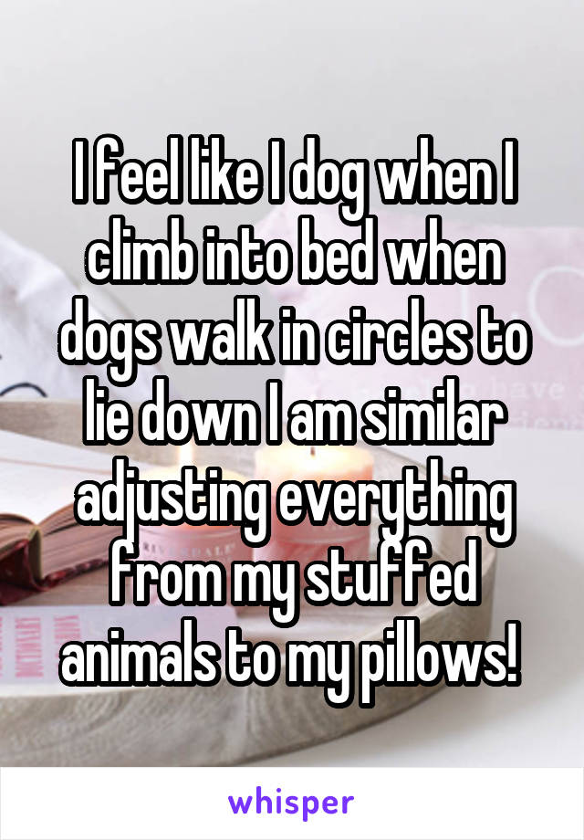 I feel like I dog when I climb into bed when dogs walk in circles to lie down I am similar adjusting everything from my stuffed animals to my pillows! 