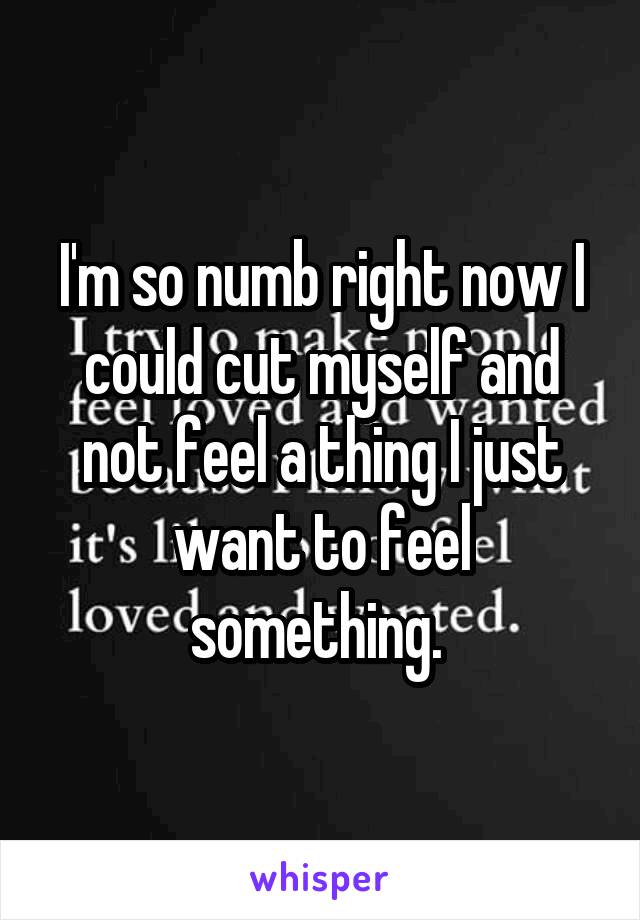 I'm so numb right now I could cut myself and not feel a thing I just want to feel something. 