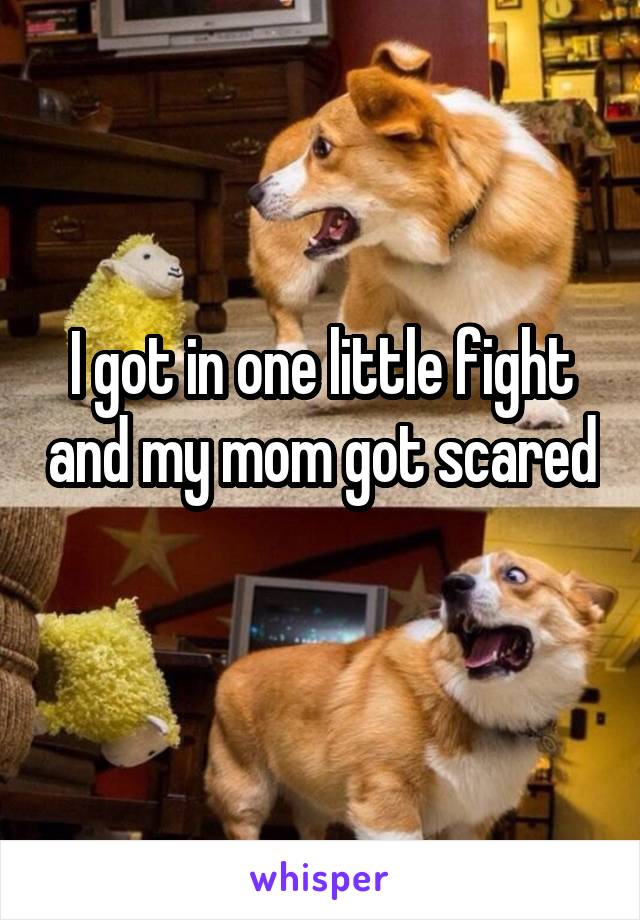I got in one little fight and my mom got scared 
