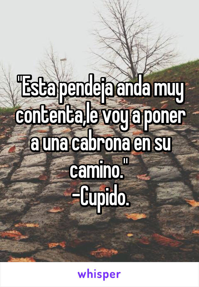 "Esta pendeja anda muy contenta,le voy a poner a una cabrona en su camino." 
-Cupido.