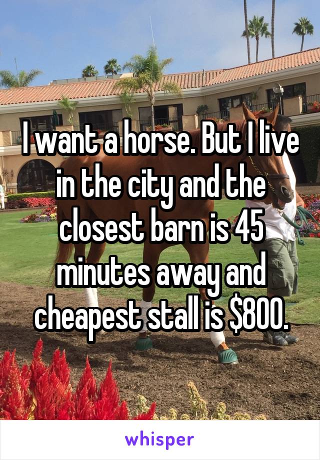 I want a horse. But I live in the city and the closest barn is 45 minutes away and cheapest stall is $800.